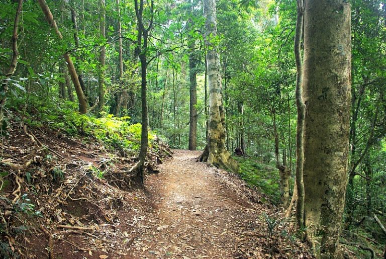 How to get to Bunya Mountains with Bunya Mountain Campgrounds and ...