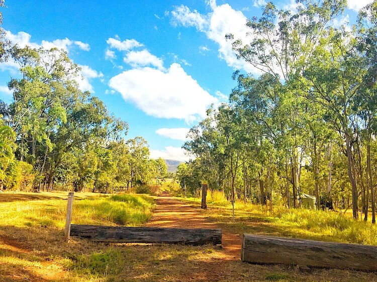 Country scene of red dirt path through dry forest on the Atherton Rail Trail