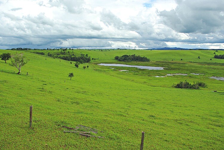 Green fields surrounding the wetlands of Bromfield Swamp