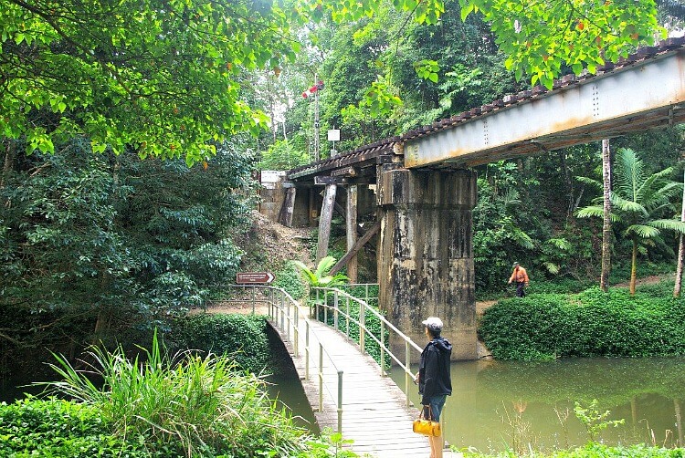 Kuranda Walks with footbridge and railbridge