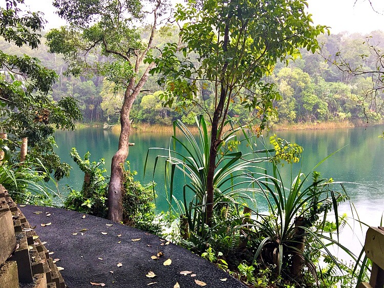 Lake Eacham Walk