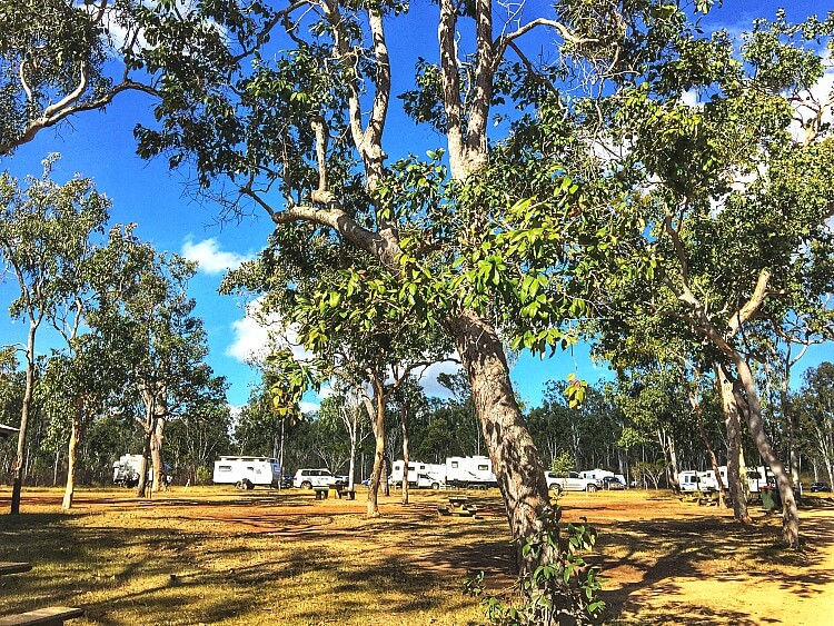 Free Camping Atherton Tablelands at Rocky Creek Memorial Park amongst tall trees